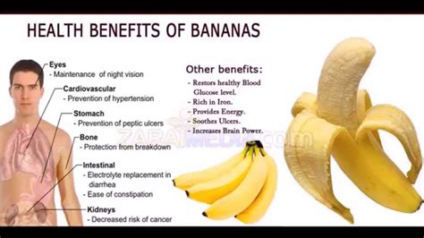 Top Health Benefits Of Bananas Banana Fruit Nutrition Facts And Health Benefits Youtube