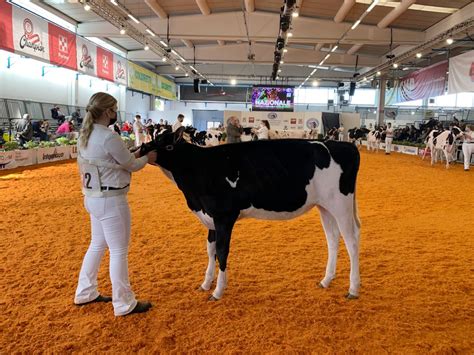 La Fazi Chiude Con Oltre Mila Visitatori Appuntamento Per La