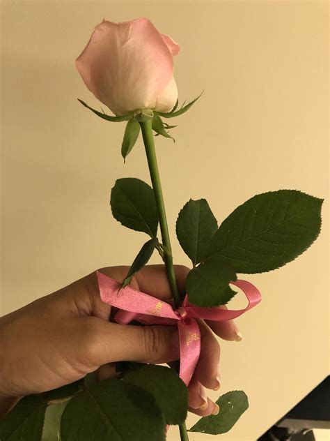 197 Best Beirut Lebanon Images On Pholder Pics City Porn And Old School Cool