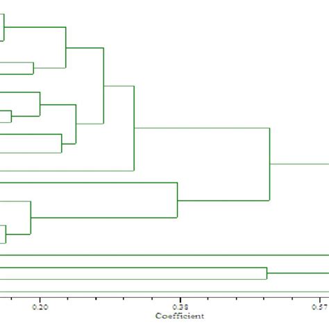 Dendrogram Illustrating Genetic Relationships Among Wheat Accessions