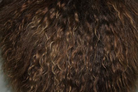 Папаха — история и современность этого уникального головного убора в ...