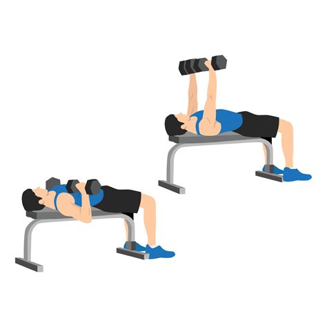 Man doing dumbbell flat bench press. Chest exercise. Flat vector