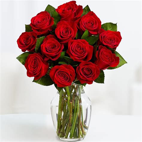 11 Красных Роз | Доставка Цветов - Череповец - Ангажемент