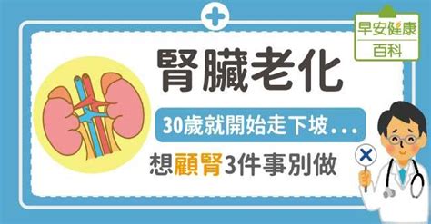 腎臟老化從30歲開始腎功能就下降，想顧腎3件事別做 第2頁