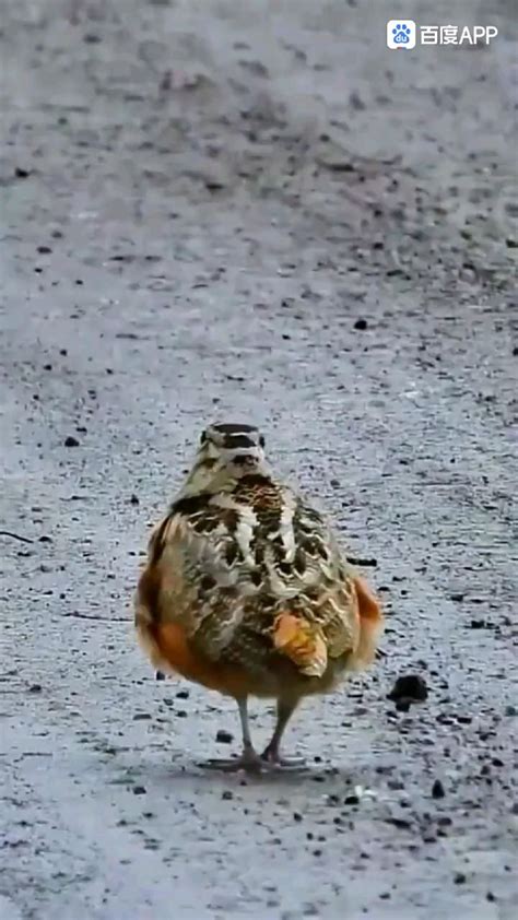 Pictures That Are More Satisfying Than Naps Cleaning And Sex All At Once Artofit