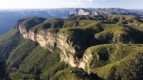 Blue Mountains & Wildlife Park Day Trip | Colourful Trips