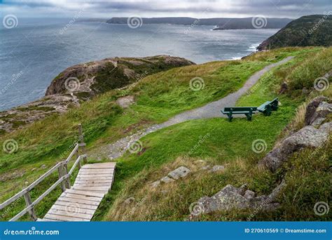 hiking trail  wooden boardwalk  park benches overlooking