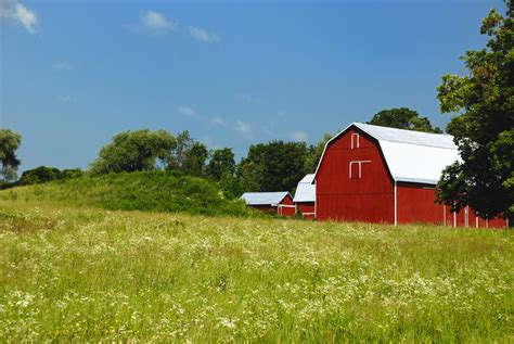 Farm animal production in Canada