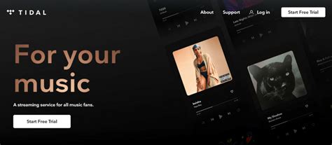 12+ Best Spotify Alternatives in 2022 To Try - TechPager