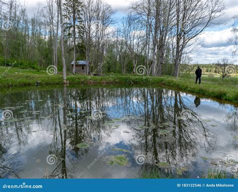 Spring Landscape With Tree Silhouettes Green Grass And A Small Pond