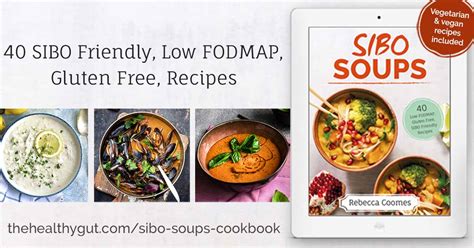 Sibo Soups Cookbook The Healthy Gut