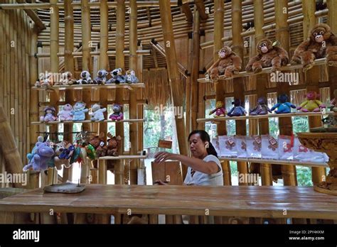 A Shop Of Animal Stuffed Dolls At Bali Zoo In Singapadu Sukawati