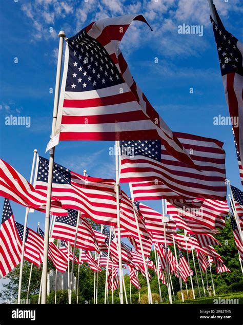 Field Of American Flags Hi Res Stock Photography And Images Alamy