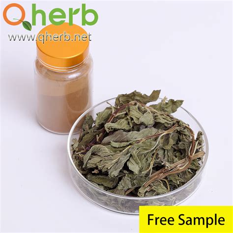 Peppermint Leaf Extract Menthol Factory Supplier Free Sample China