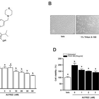 Effect Of AUY922 On Platelet Derived Growth Factor PDGF BB Induced