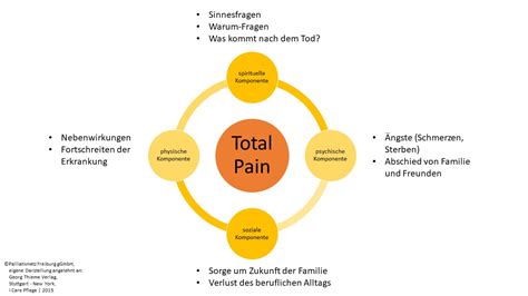 Cicely Saunders Total Pain Konzept Image To U