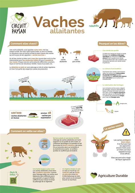 Infographie Lannée de la chouette La Salamandre no265 2021