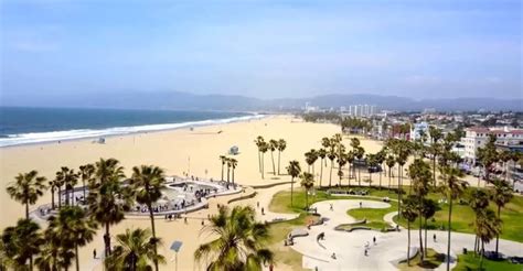 Beach Babe Bingo Filme Veja Onde Assistir