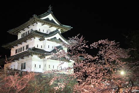 Castillo de Hirosaki y sus árboles de cerezo - Japón - Ser Turista