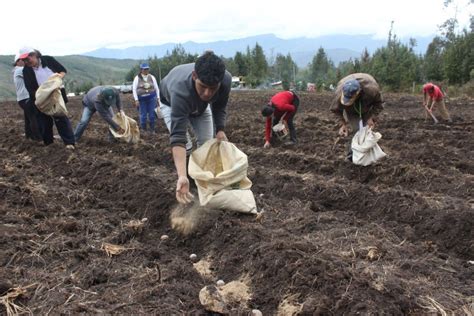 Midagri Planea Entrega De T Tulos De Propiedad A Agricultores