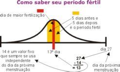Periodo Fertil E Antes Ou Depois Da Menstruação - O período fértil é antes ou depois da menstruação? - DicasFree.com