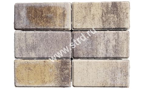 Тротуарная плитка Брусчатка Серый основа - серый цемент 200*100*60мм ...