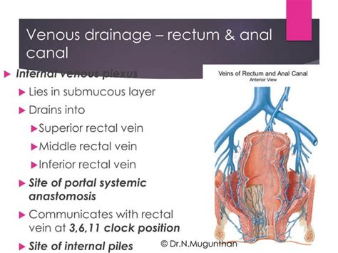 Rectum Anal Canal By Prof Dr N Mugunthan PDF