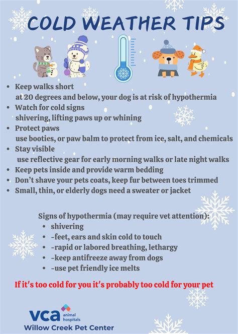 A look at what the VCA Willow Creek Pet Center offers owners 5