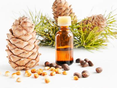 Кедровое масло с живицей - применение, свойства