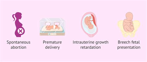 What Is A Bicornuate Uterus Is It Possible To Achieve Pregnancy