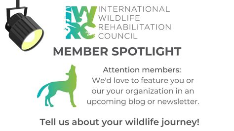 The International Wildlife Rehabilitation Council Iwrc On Linkedin We Re Aiming To Spotlight