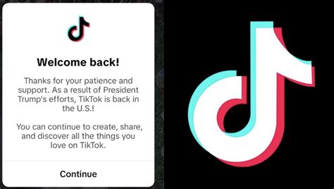 🏠 TikTok is back