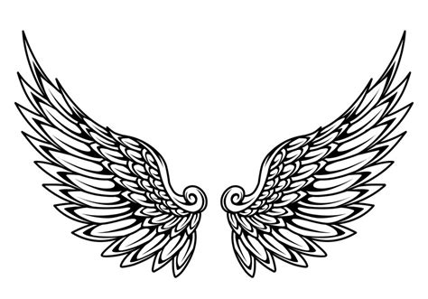 Premium Vector | A black and white drawing of a pair of wings.