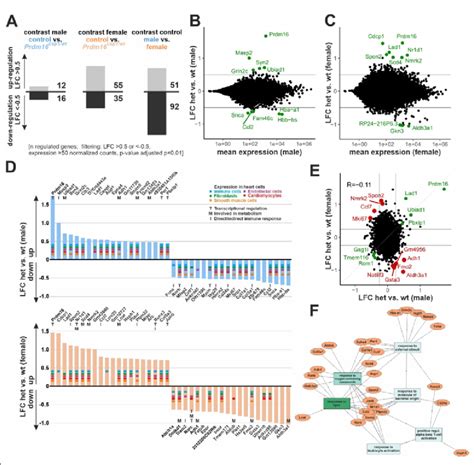 Transcriptome Analysis Of Prdm16 Csp1 Wt Heart Tissue A