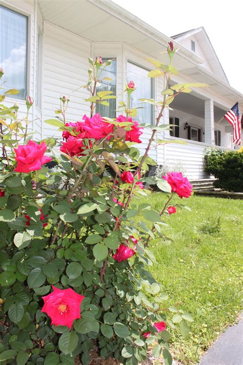 Mount Pleasant Funeral Home | Harlan KY