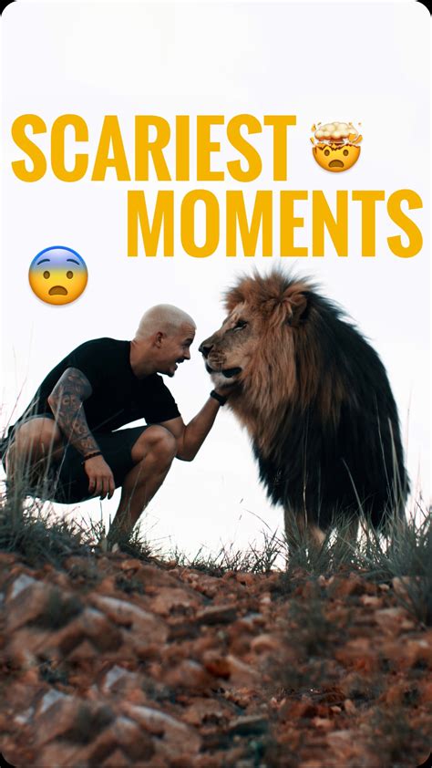 Dean Schneider | OLD BUT GOLD🏆 EVERY relationship between 2 living