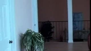 Aleia Tyler Porn Videos Pornhub