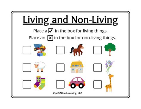 Lesson Plan On Living And Nonliving Kindergarten 10