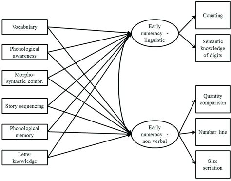 Frontiers Early Literacy And Numeracy Skills In Bilingual Minority