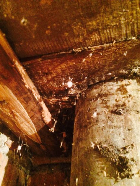 Untitled | ruslan_l | Flickr