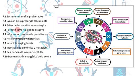 Exposicion Bases Molecular Del Cancer Youtube