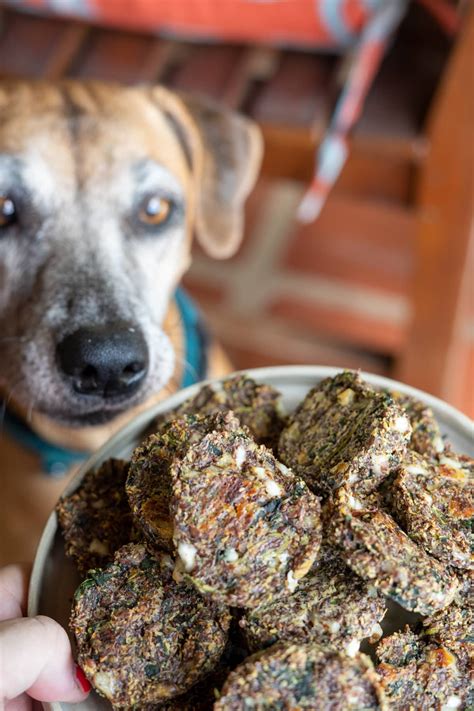 Cottage Cheese Dog Treats