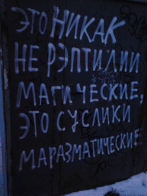 Суслики маразматические... | Пикабу
