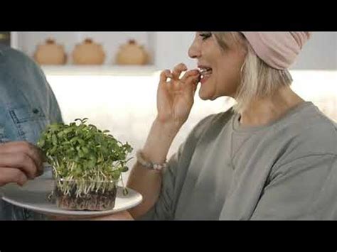 فوائد براعم البروكلي🥗 Benefits of broccoli sprouts - YouTube