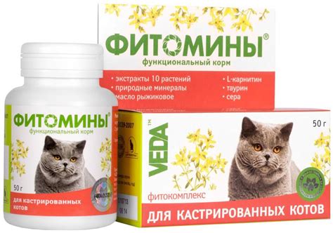 Обезболивающие таблетки для кошек: Противовоспалительные и ...