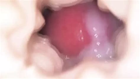 Cumshots Inside Fleshlight Compilation From Xhamster Users Gay Man Man Porn XHamster