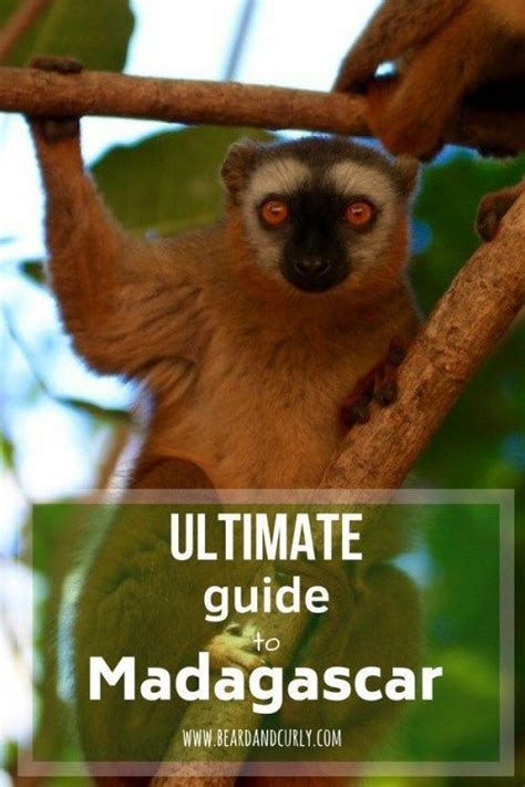 Complete Guide To Madagascar All You Need To Know Madagascar Travel