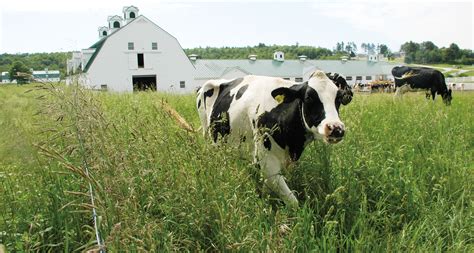 Photos Pineland Farms Inc