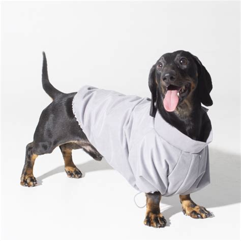 Жилет для собак утепленный на липучке BooDog для мелких и средних пород ...