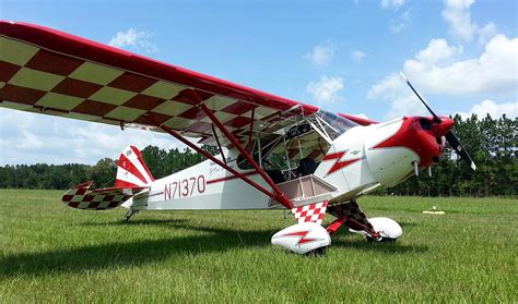 Clipped Wing Cub Photograph By Matt Abrams